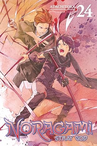 Noragami: Stray God 24 Paperback Noragami: Stray God 24 Paperback