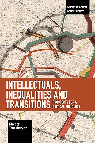 Intellectuals, Inequalities and Transitions (Studies in Critical Social Sciences, 156)