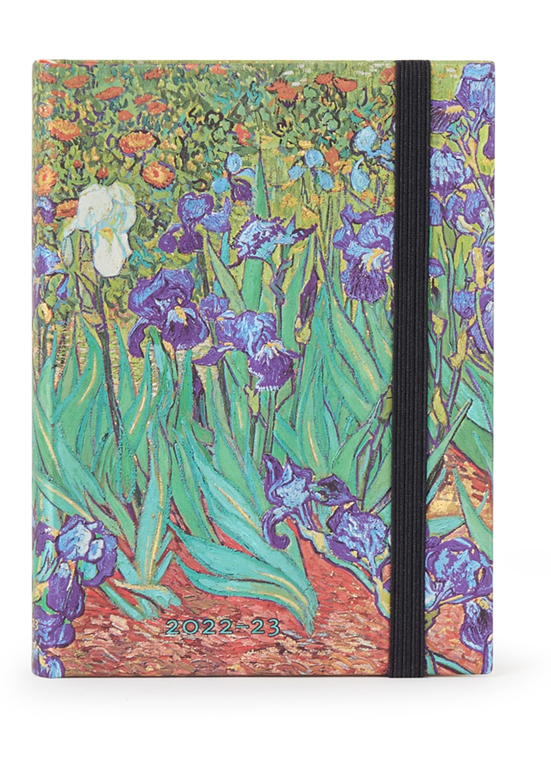 2024 Diary -Van Gogh's irises