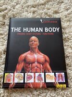 THE HUMAN BODY Organs Body Systems Function - books@cafe