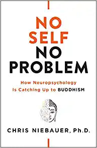 No Self, No Problem: How Neuropsychology Is Catching Up to Buddhism (The No Self Wisdom Series)No Self, No Problem: How Neuropsychology Is Catching Up to Buddhism (The No Self Wisdom Series)