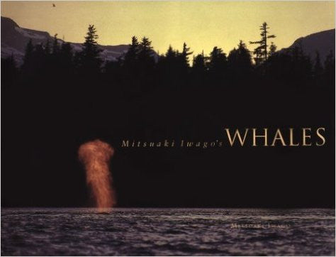 Mitsuaki Iwago's Whales