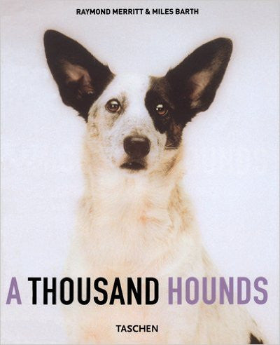 A Thousand Hounds
