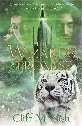 The Wizard's Promise