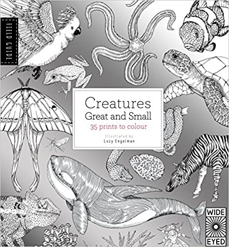 Field Guide: Creatures Great and Small